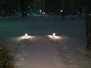 snowy yard