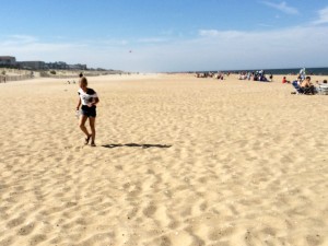 fenwick hunting for seashells