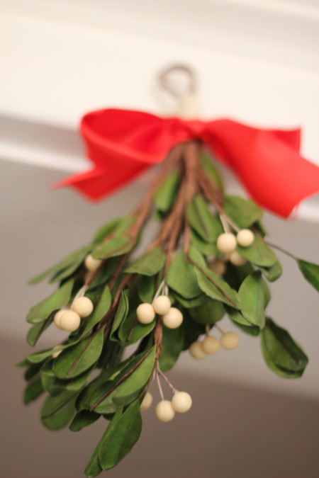 mistletoe - 1