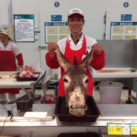 donkey head in china